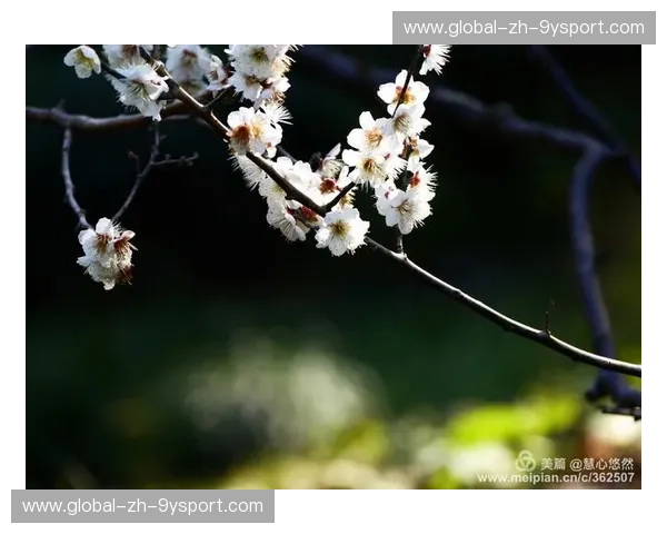 跨越海峡的绿茵回响:当“中国红”遇见“香港红”,不只是胜负的九十分钟